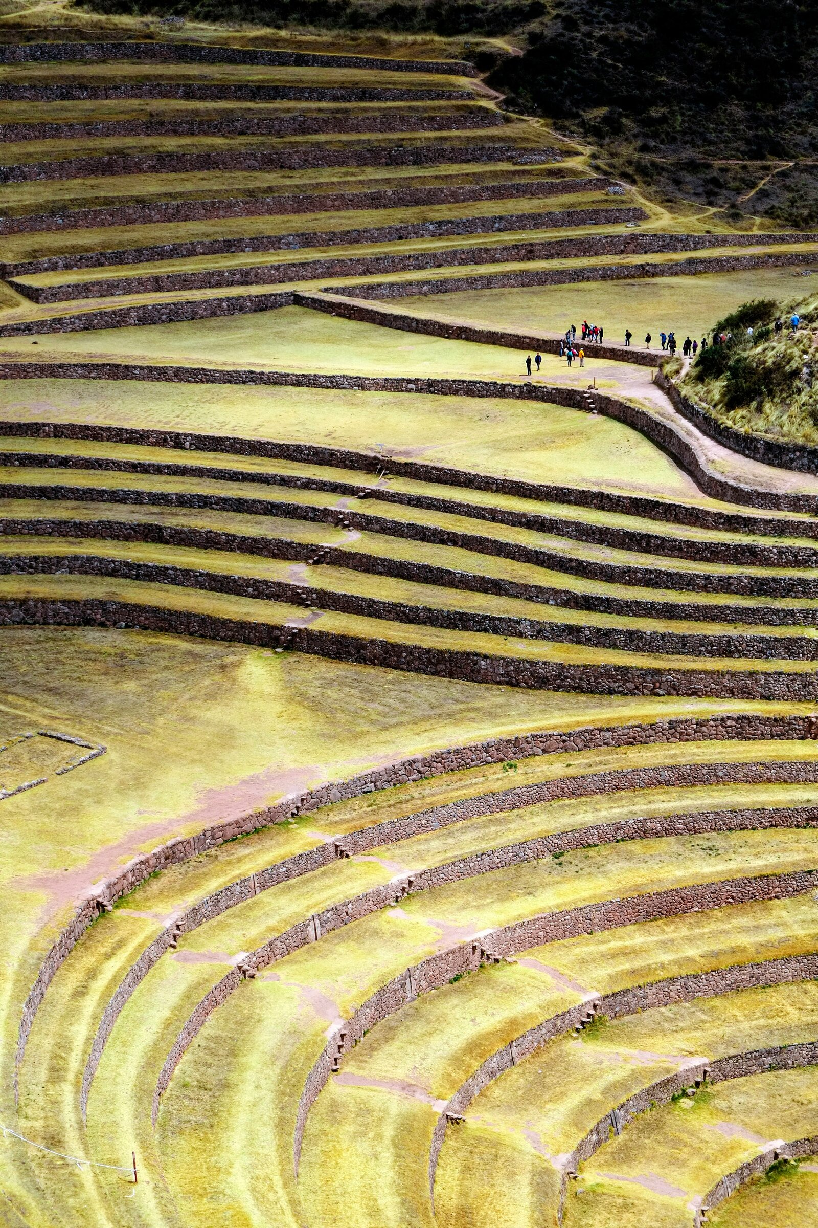 Inca-terrassen in de Heilige Vallei van Peru