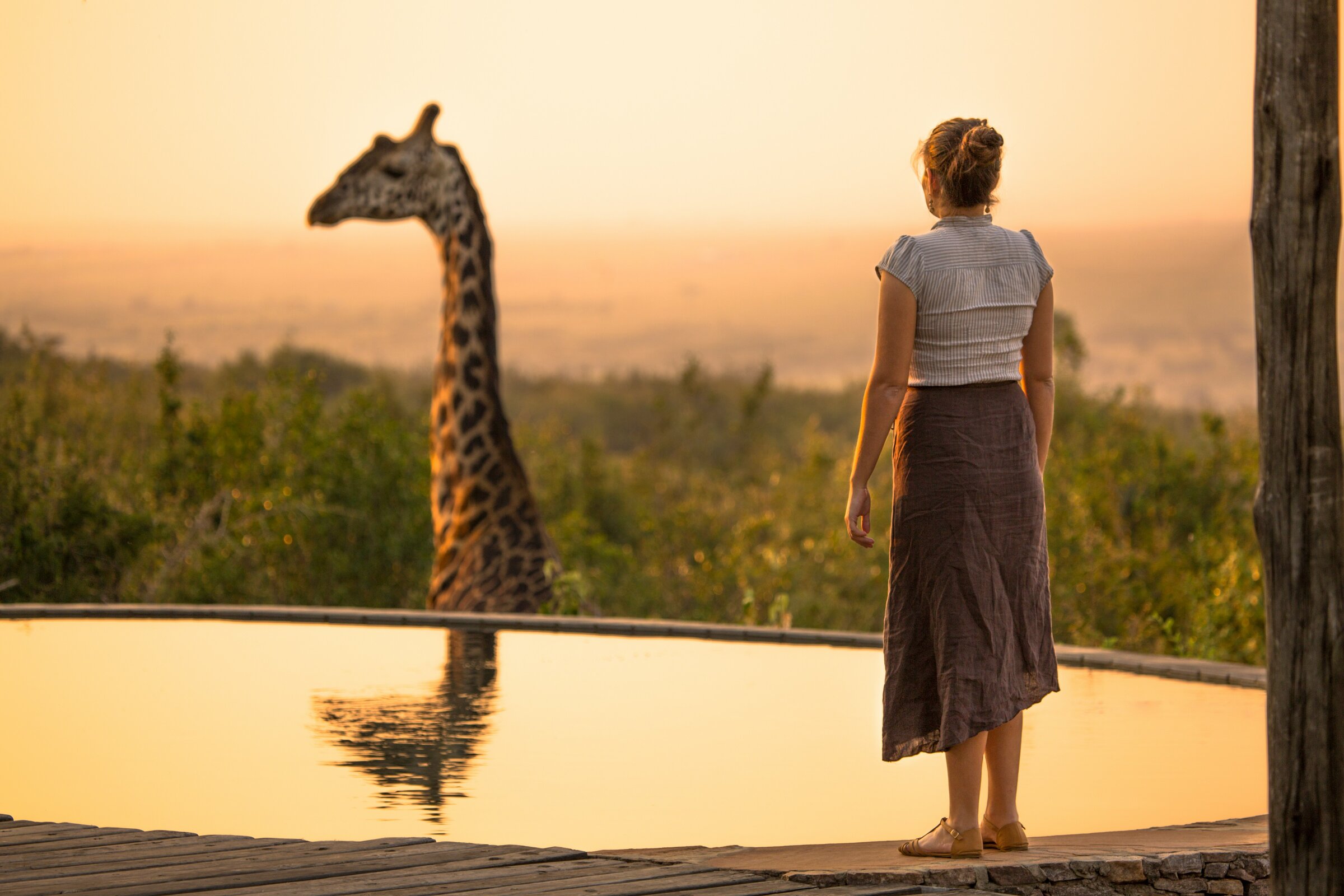 Safari lodge bij zonsondergang met giraffe